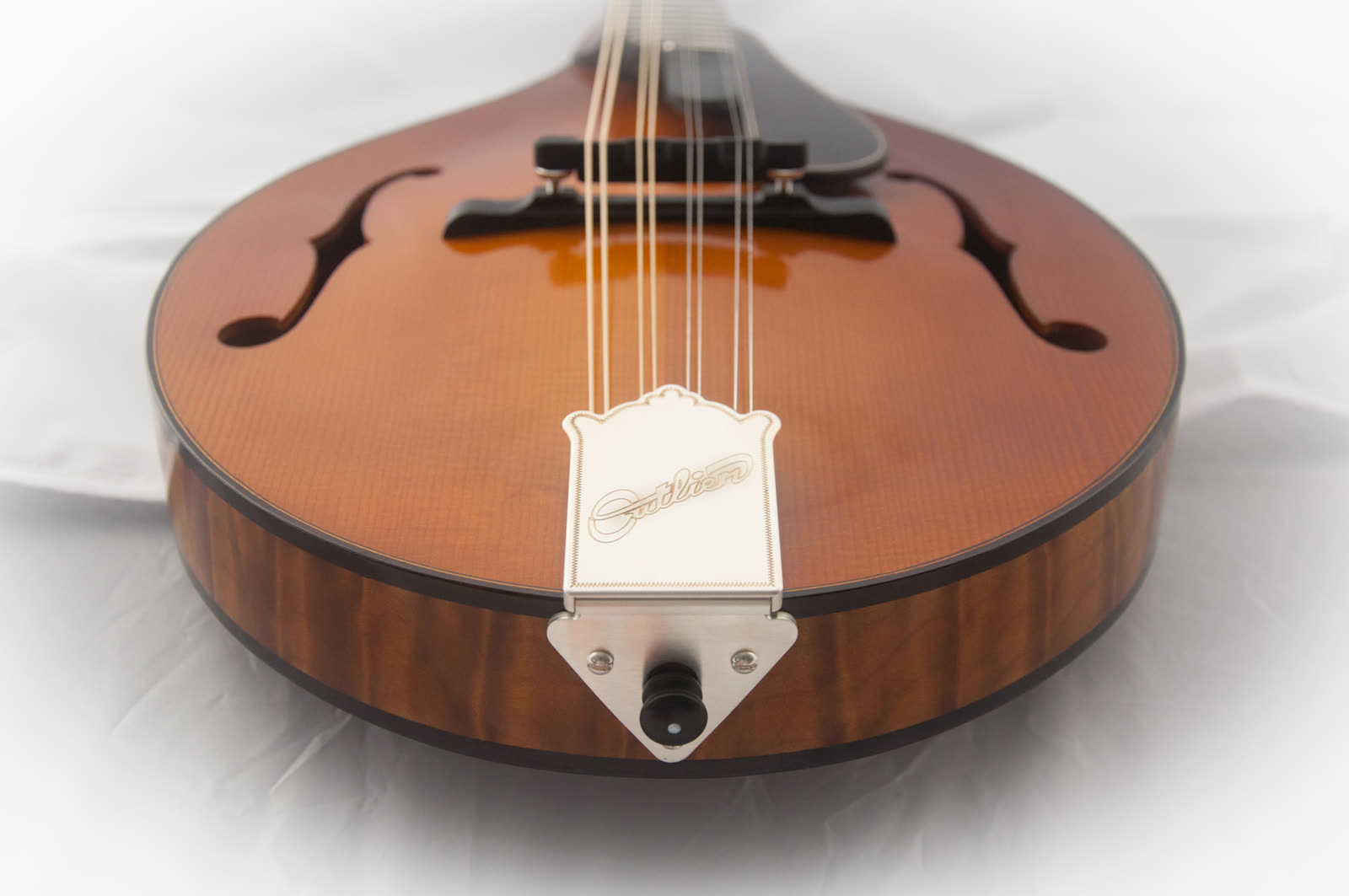 A-model mandolin