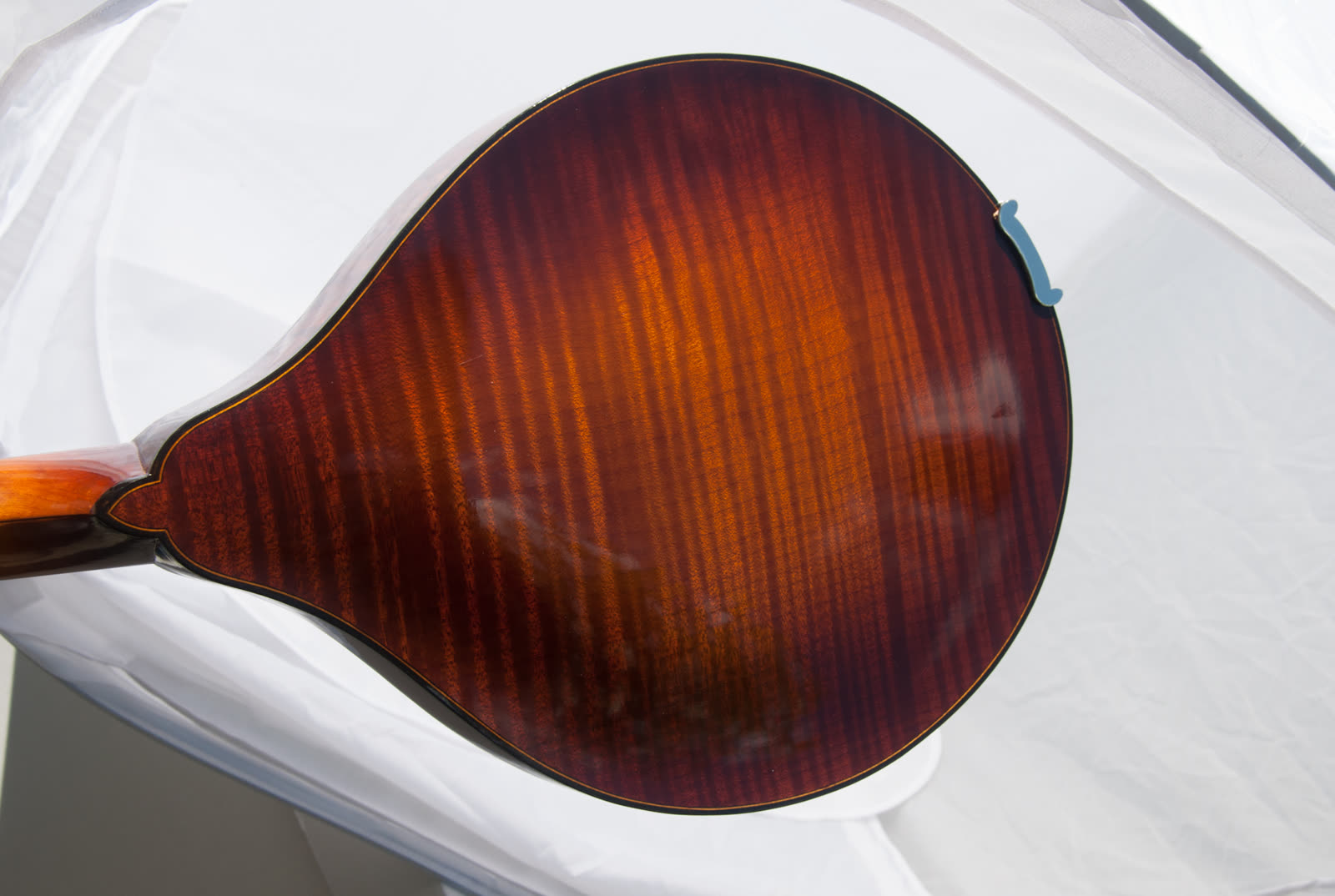 A-model mandolin — back, flamed maple, overhead view