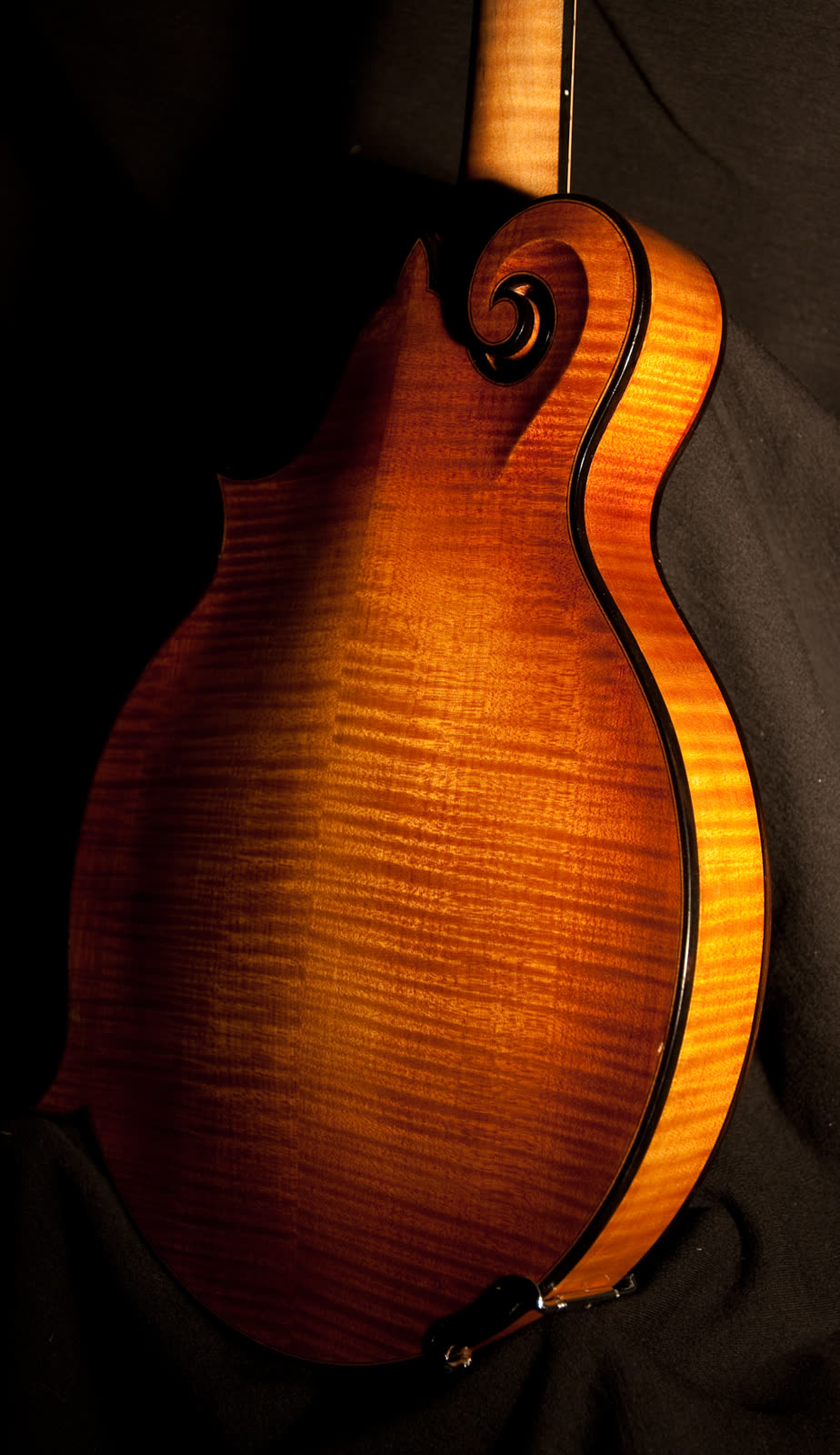 F-model mandolin, back, flamed maple, ebony