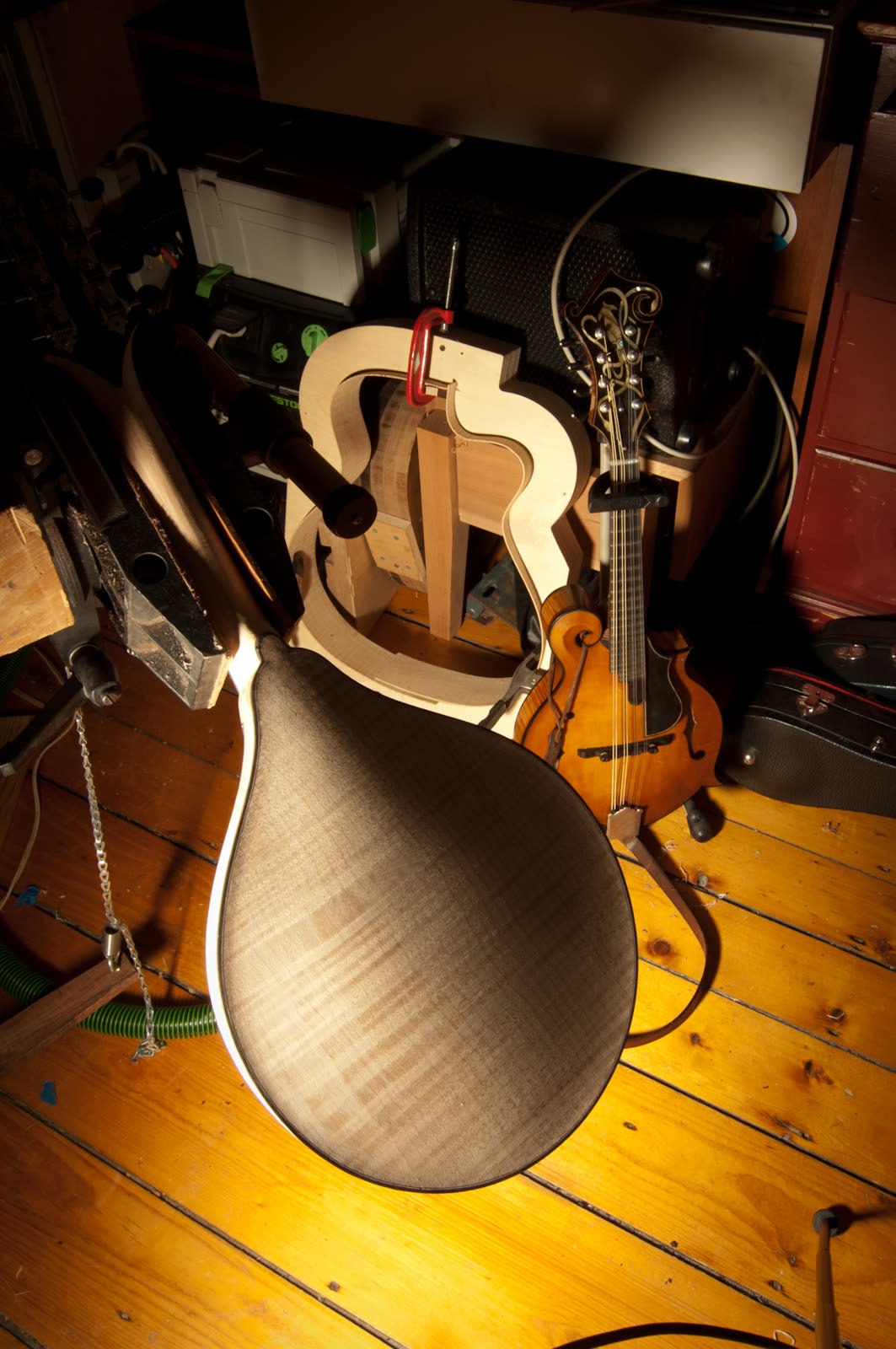 Mandolin back arch, curly maple