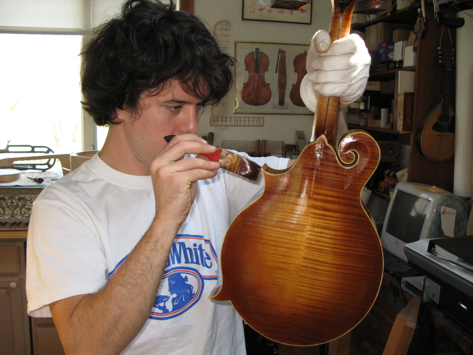 F-model mandolin — back, curly maple, brushed with amber varnish